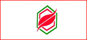 Painting Contractors in Chennai